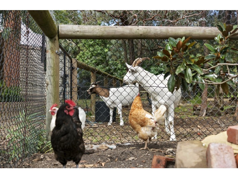 26-28 Nirvana Close, Langwarrin South VIC 3911