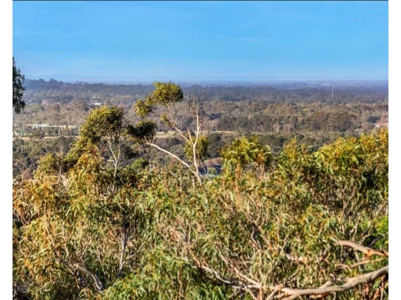 31 Brighton Crescent, Mount Eliza VIC 3930