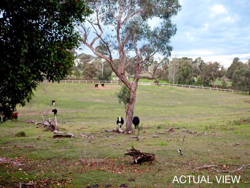 435 Baxter Tooradin Road, Langwarrin South VIC 3911