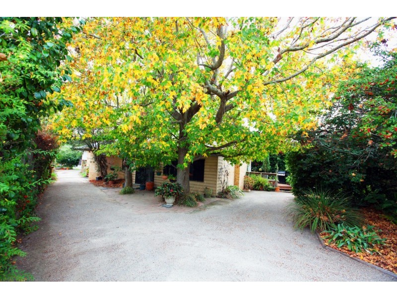 15 Baileyana Street, Frankston South VIC 3199