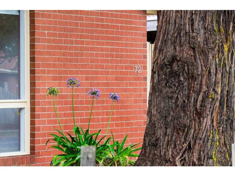 72 Taketa Crescent, Frankston VIC 3199