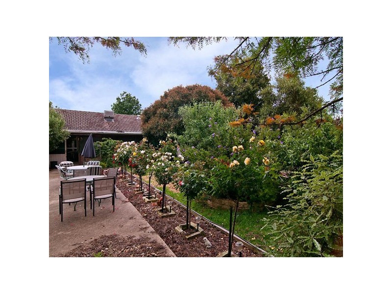 17 Ribbon Court, Frankston North VIC 3200