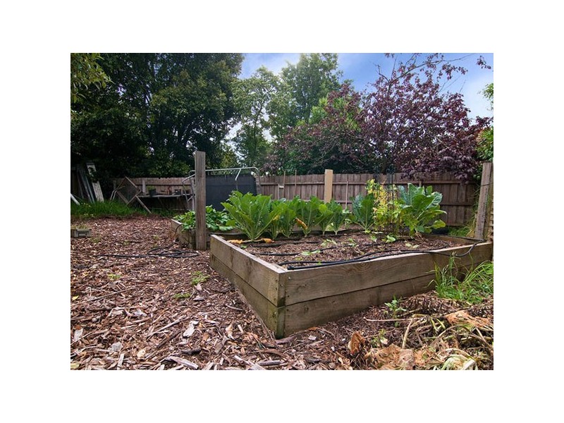 17 Ribbon Court, Frankston North VIC 3200