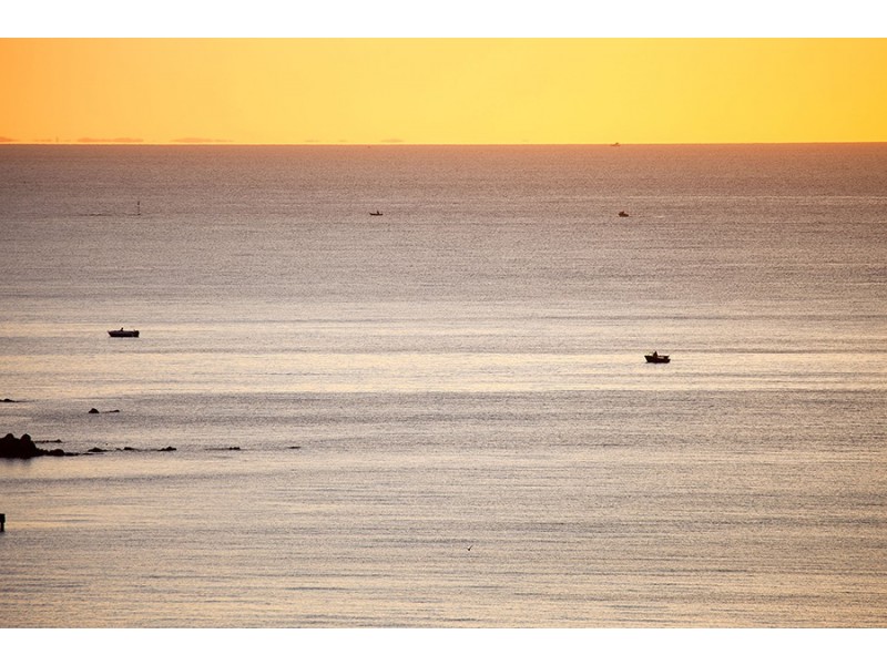 3 Fernery Lane, Frankston VIC 3199