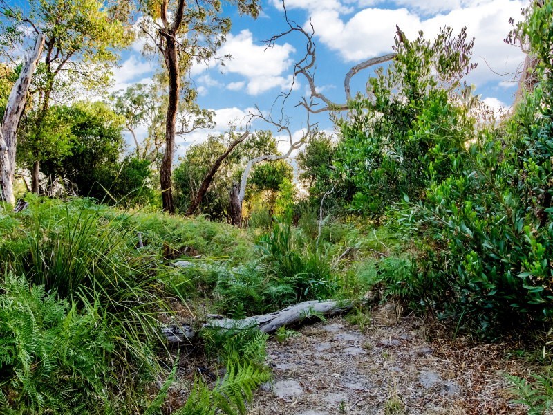 45 Harold Road, Skye VIC 3977