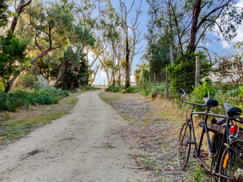 45 Harold Road, Skye VIC 3977