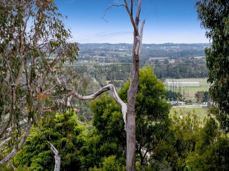 38 Two Bays Road, Mount Eliza VIC 3930