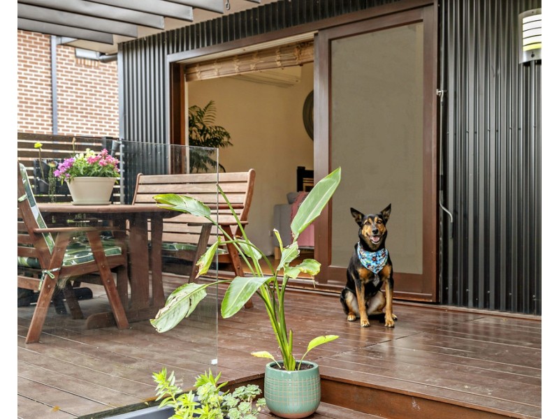 67 Margate Avenue, Frankston VIC 3199