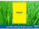 Lot 1907 – 3 Braemar Street, Truganina VIC 3029