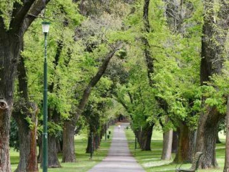 39/100 Commercial Road, South Yarra VIC 3141