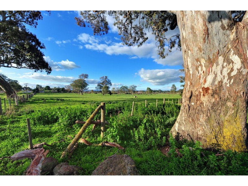 43 Blackcurrant Circuit, Mernda VIC 3754