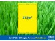 Lot 2732, 6 Kyogle Avenue, Point Cook VIC 3030