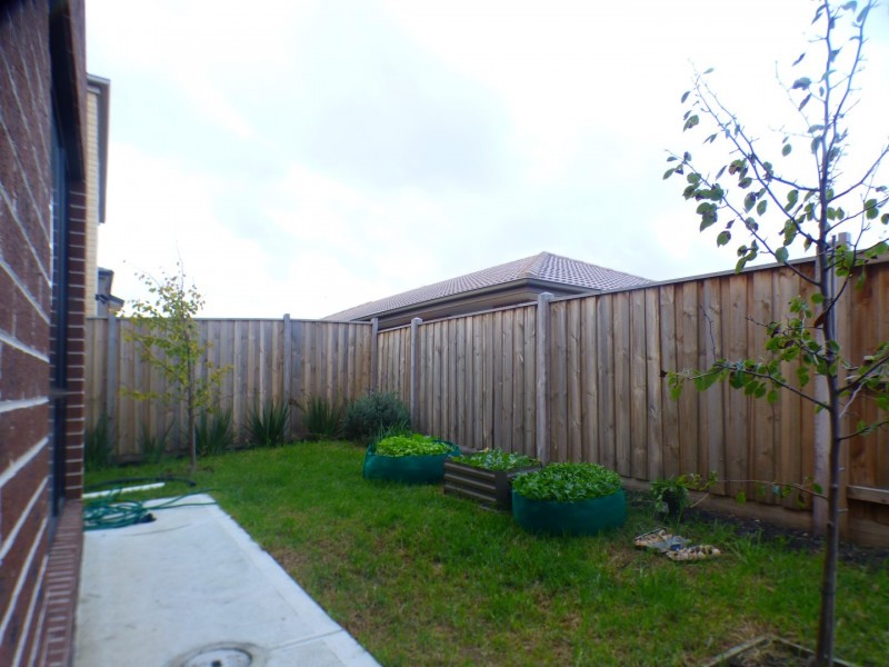 38 Jansar Street, Point Cook VIC 3030