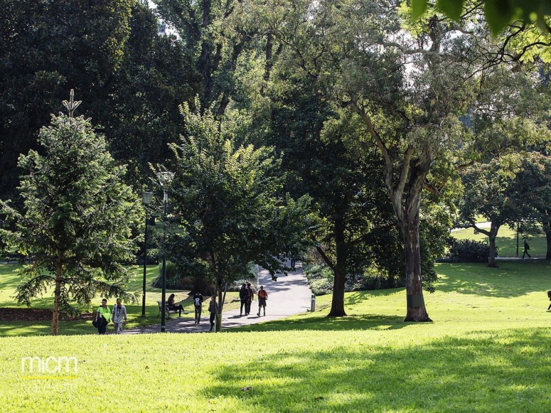 203/33 Batman Street, West Melbourne VIC 3003