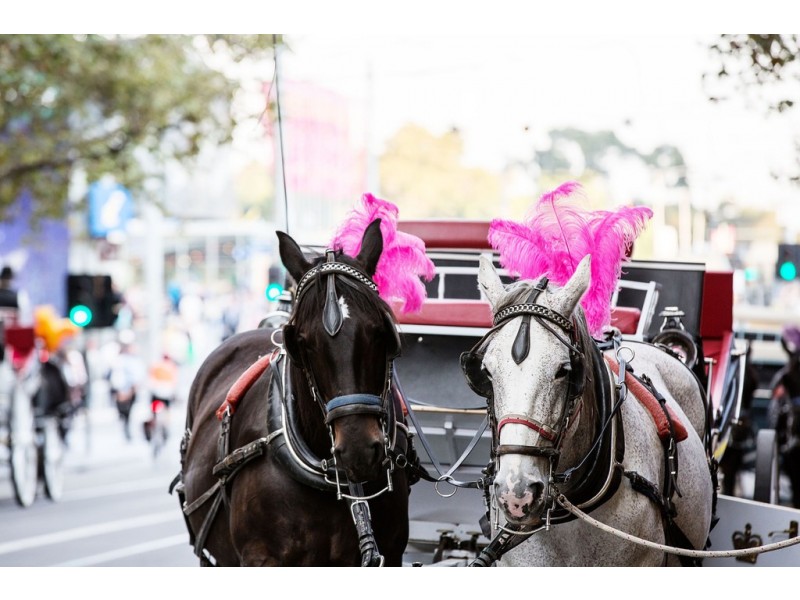 504/253 Franklin Street, Melbourne VIC 3000