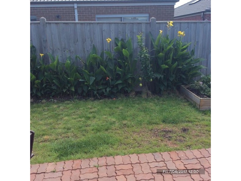 7 Baybreeze Drive, Point Cook VIC 3030