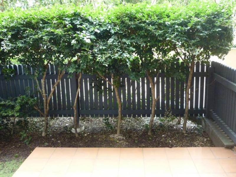 REF 031506/299 Spring Street, Melbourne VIC 3000