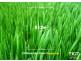 Lot 934, 33 Woolshed Drive, Truganina VIC 3029