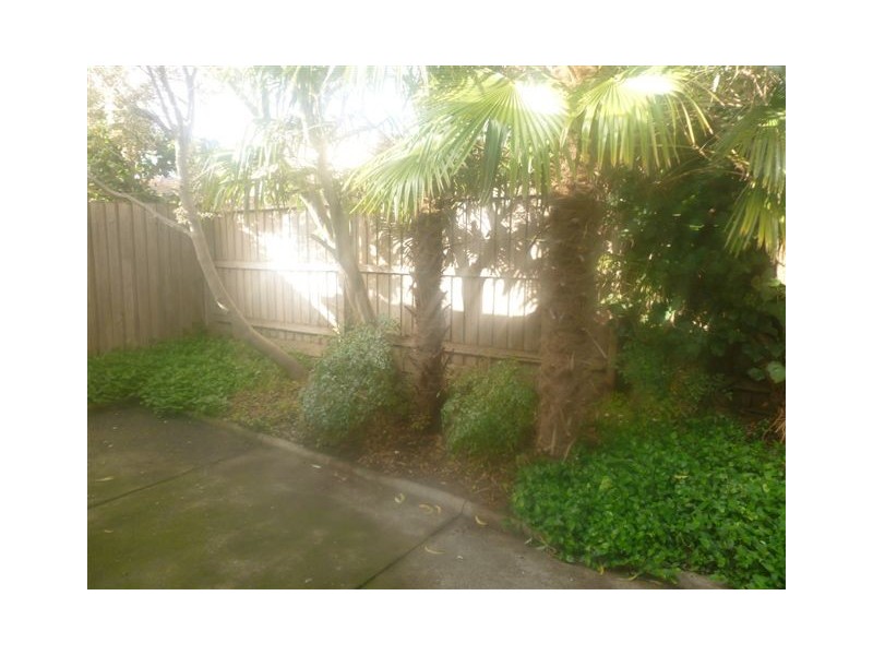 3/38 Pakington Street, Kew VIC 3101