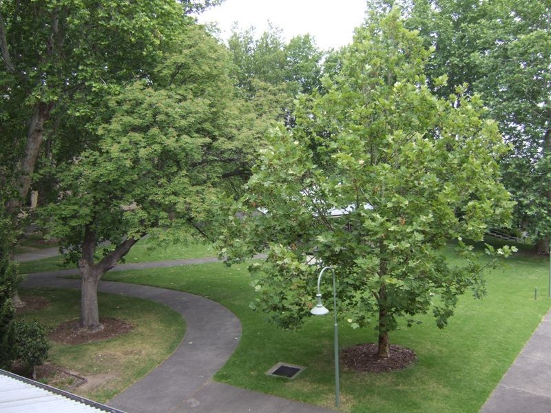 63 Wiltshire Drive, Kew VIC 3101