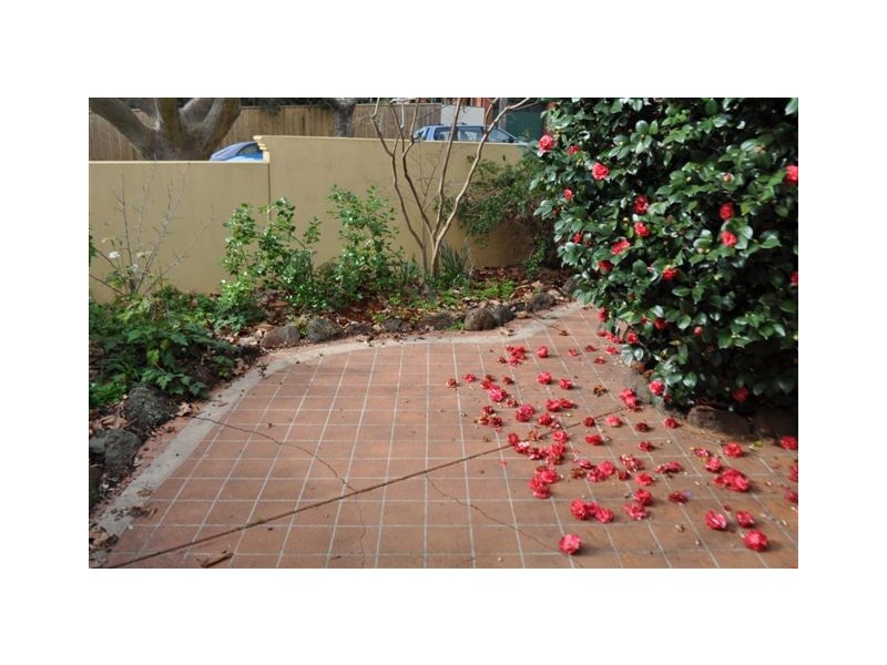 1A/103 Walpole Street, Kew VIC 3101