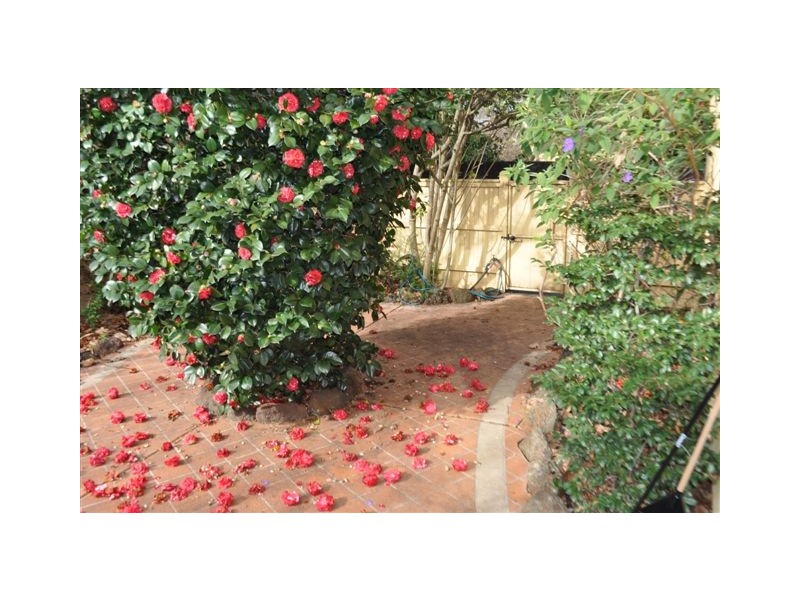 1A/103 Walpole Street, Kew VIC 3101