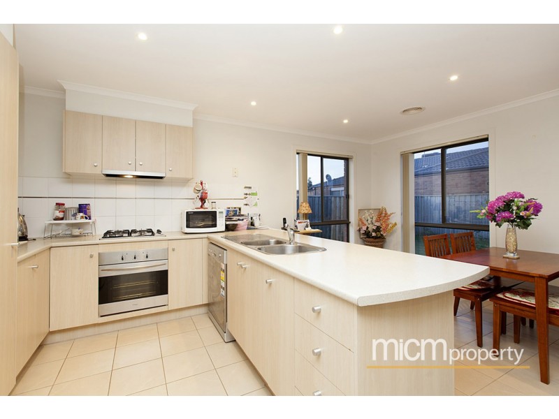 9 Hamish Drive, Tarneit VIC 3029