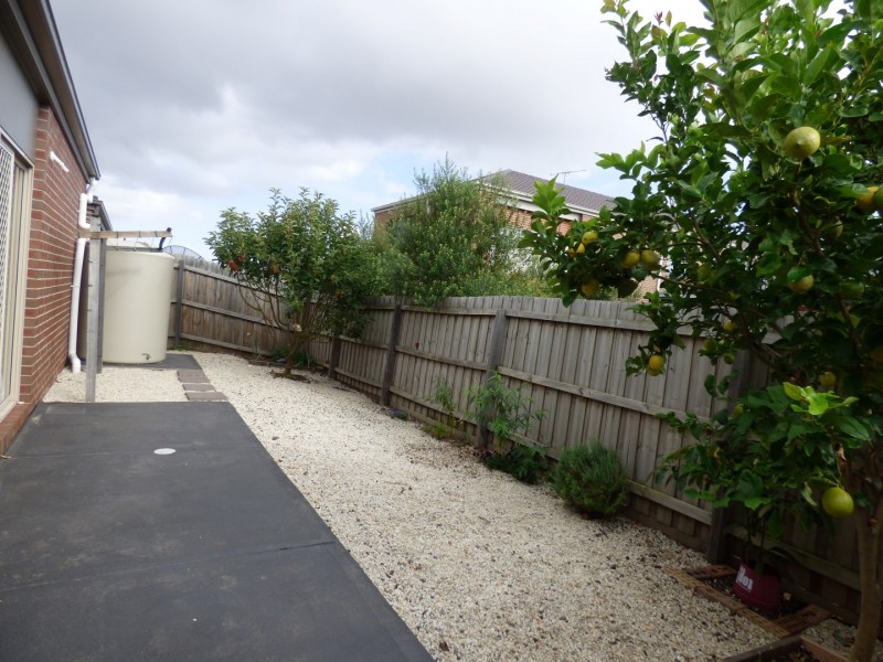 16 Spinifex Street, Point Cook VIC 3030