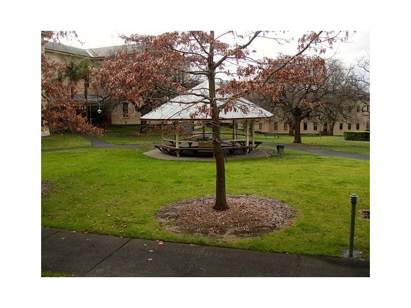 111 Wiltshire Drive, Kew VIC 3101