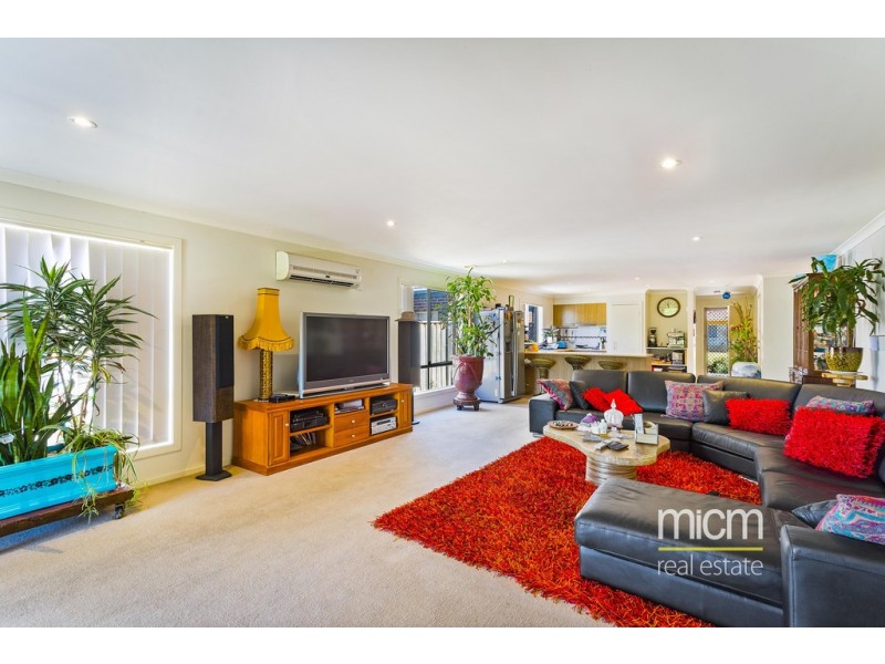 17 Delias Road, Tarneit VIC 3029