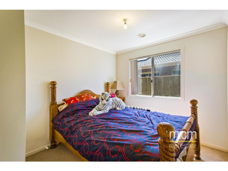 17 Delias Road, Tarneit VIC 3029