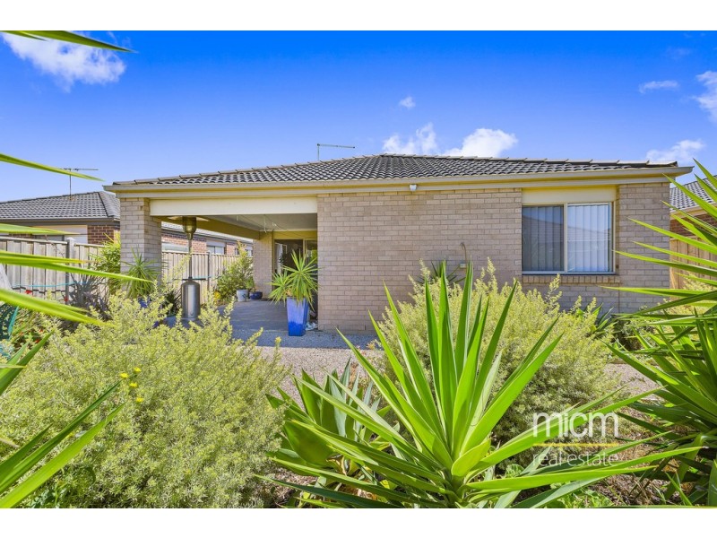17 Delias Road, Tarneit VIC 3029