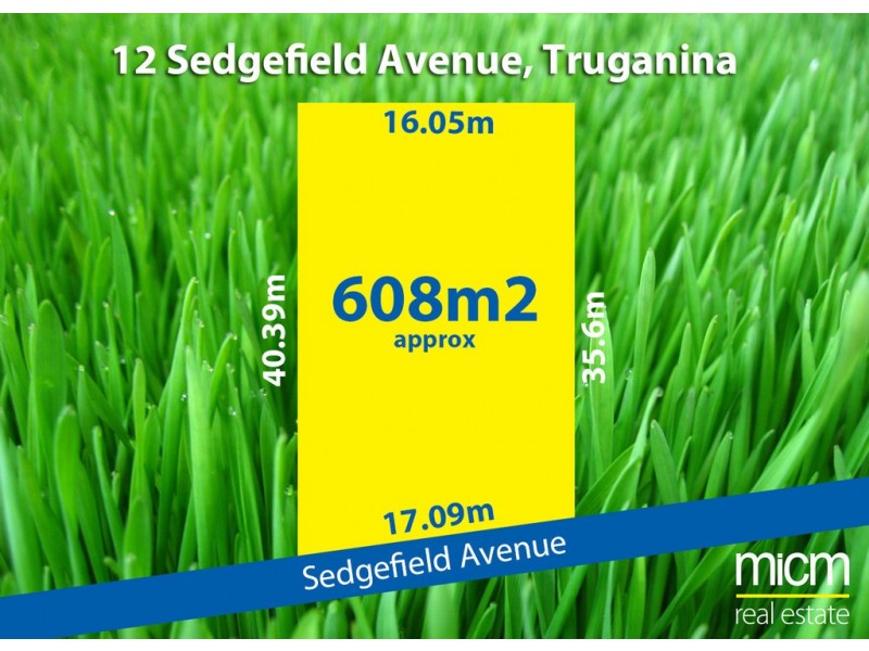 12 Sedgefield Avenue, Truganina VIC 3029