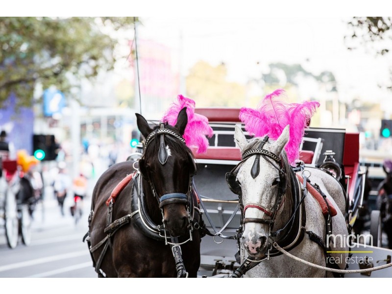 1008/3-5 St Kilda Road, St Kilda VIC 3182
