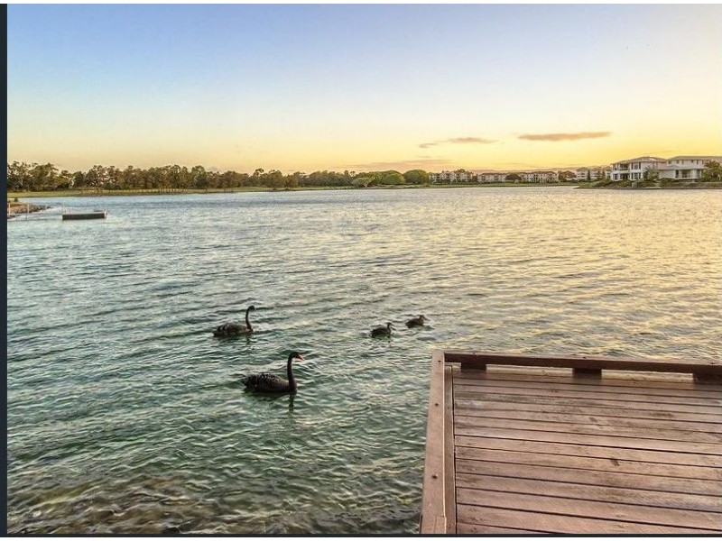 6135 Vico Avenue, Hope Island QLD 4212