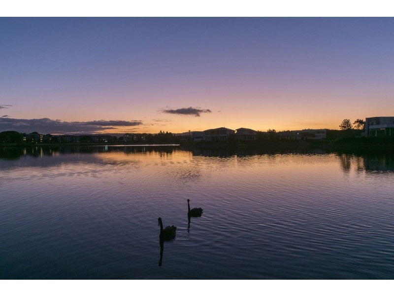 6169 Murten Court, Hope Island QLD 4212