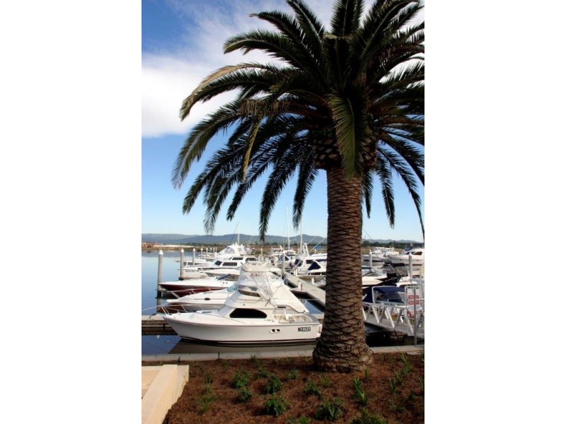 2215 Taromeo Court, Hope Island QLD 4212