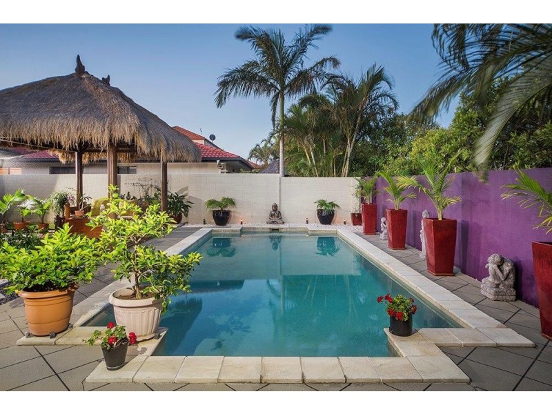 19 Dallow Crescent, Helensvale QLD 4212