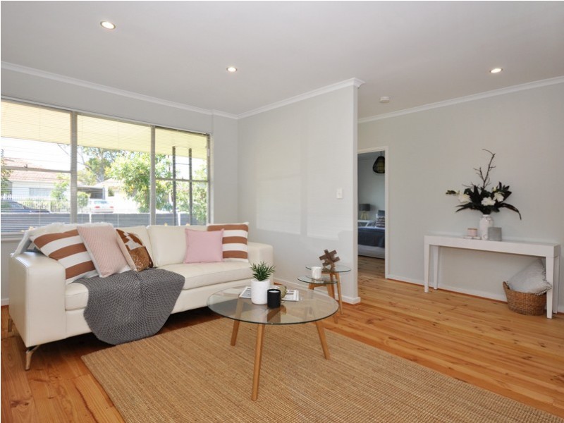 157 Kingston Avenue, Melrose Park SA 5039