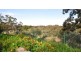 51 Bellaview Road, Flagstaff Hill SA 5159