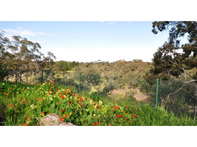 51 Bellaview Road, Flagstaff Hill SA 5159