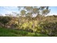 51 Bellaview Road, Flagstaff Hill SA 5159