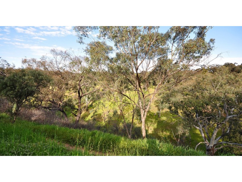 51 Bellaview Road, Flagstaff Hill SA 5159