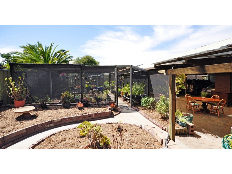 13 Tolcairn Crescent, Flagstaff Hill SA 5159