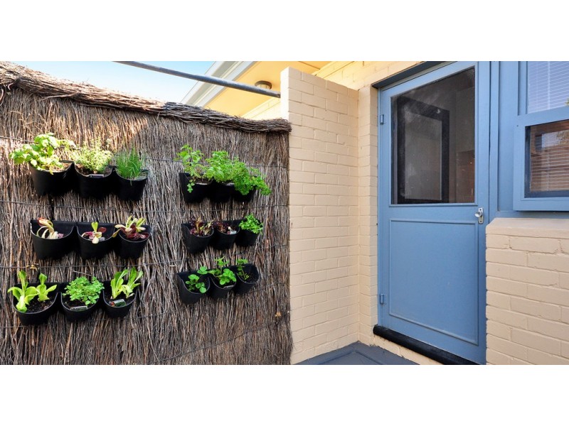 4/13 Whyte Street, Somerton Park SA 5044