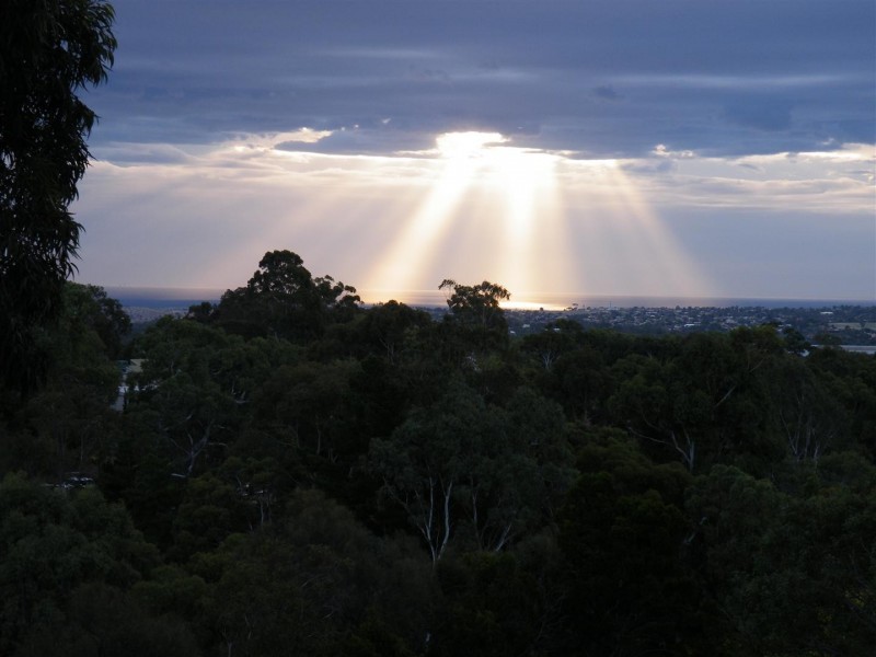 23 Nayook Grove, Happy Valley SA 5159