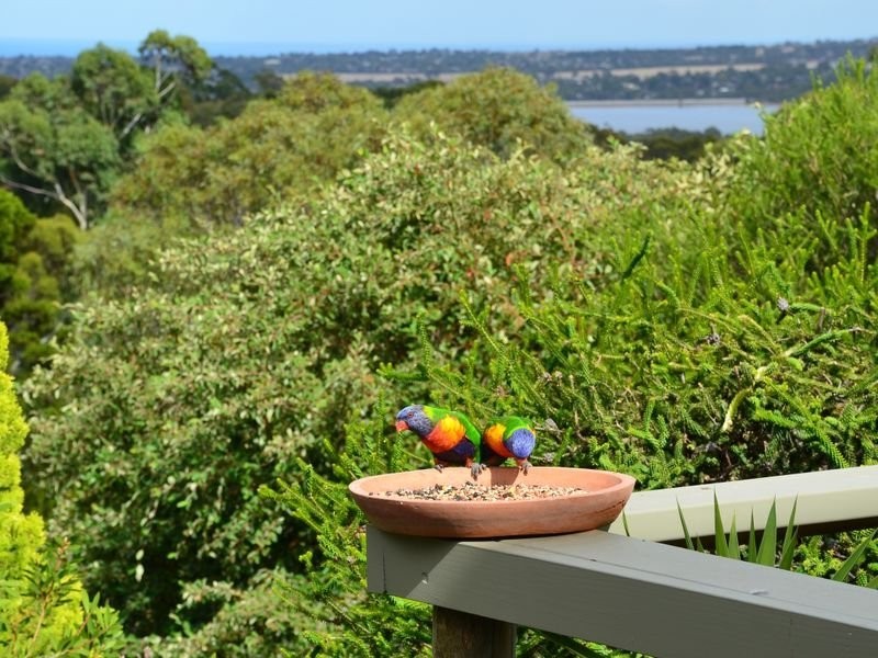 23 Nayook Grove, Happy Valley SA 5159