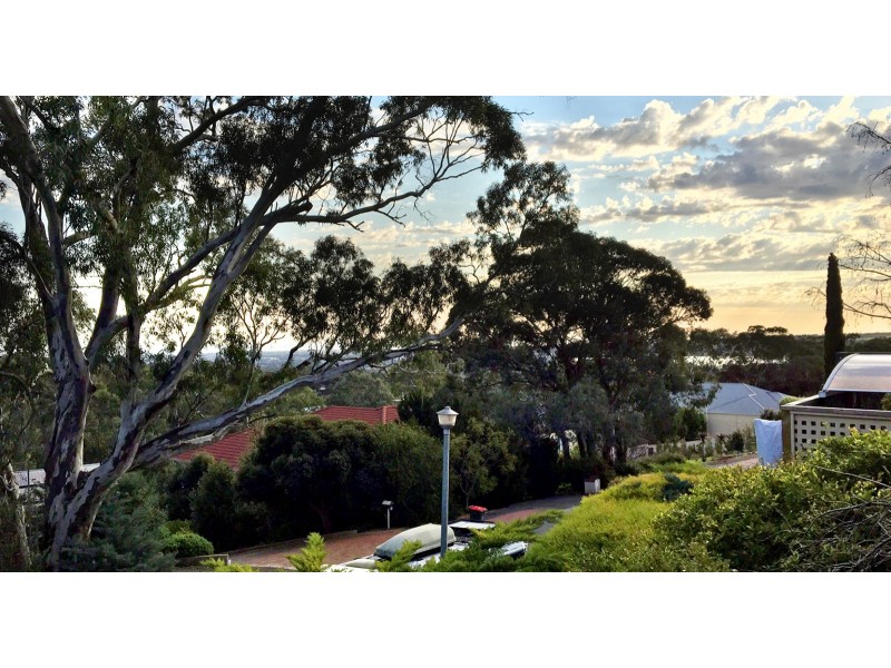 7 Grandview Court, Aberfoyle Park SA 5159