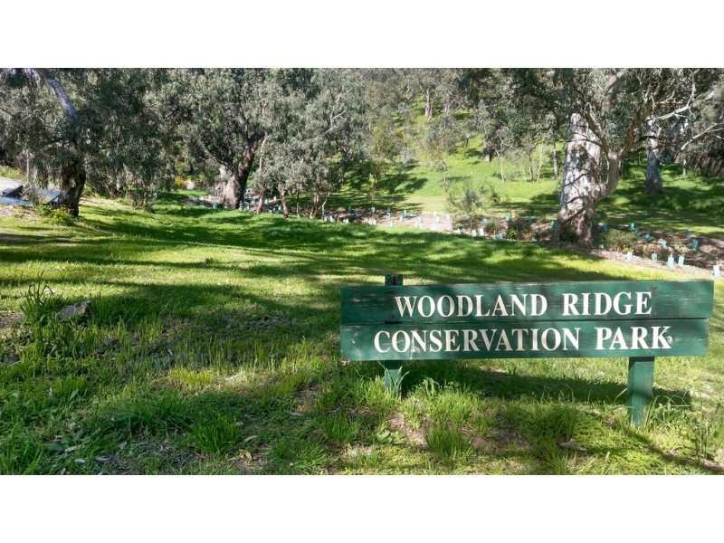 25A Stonebridge Drive, Aberfoyle Park SA 5159