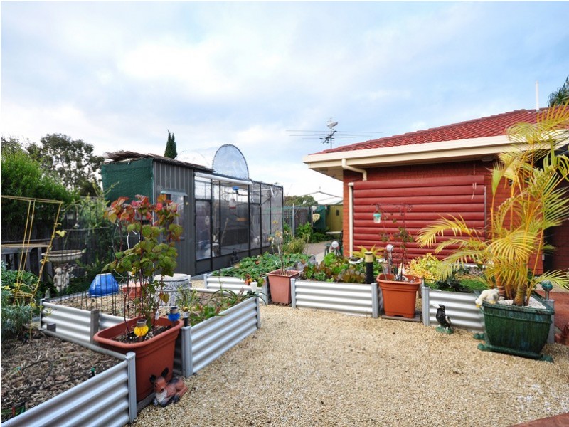 3 Berenwode Circuit, Morphett Vale SA 5162